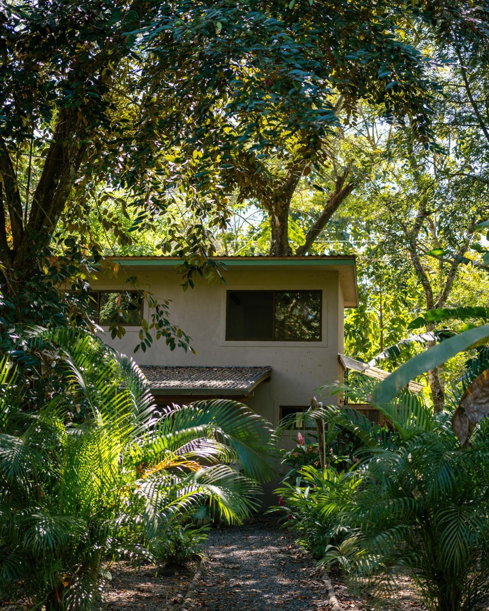 Feeling Trees Jungle Lodge Cabuya  Buitenkant foto