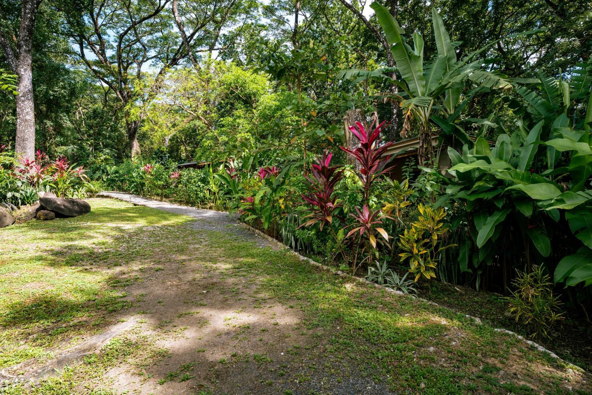 Feeling Trees Jungle Lodge Cabuya  Buitenkant foto