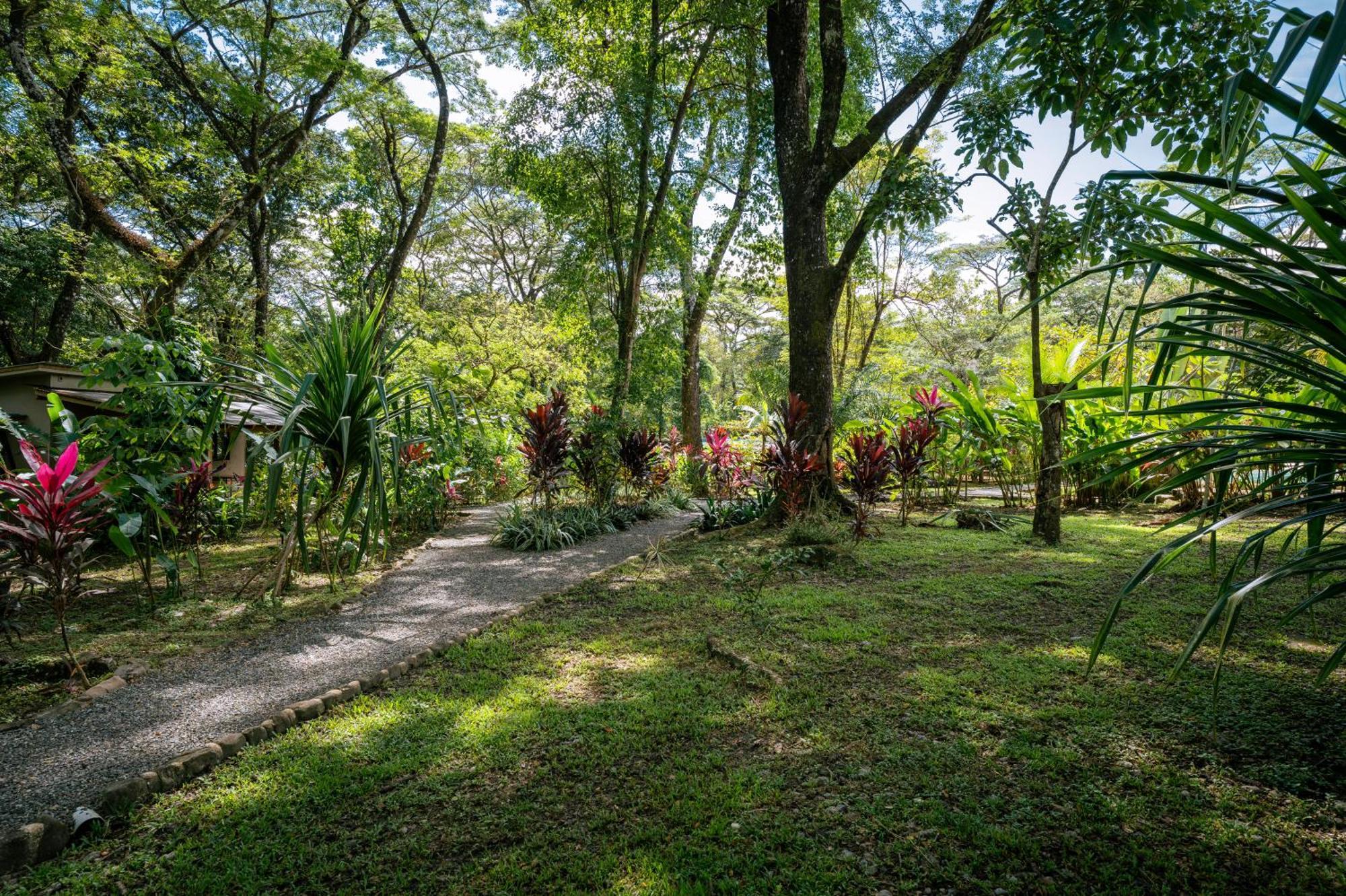 Feeling Trees Jungle Lodge Cabuya  Buitenkant foto