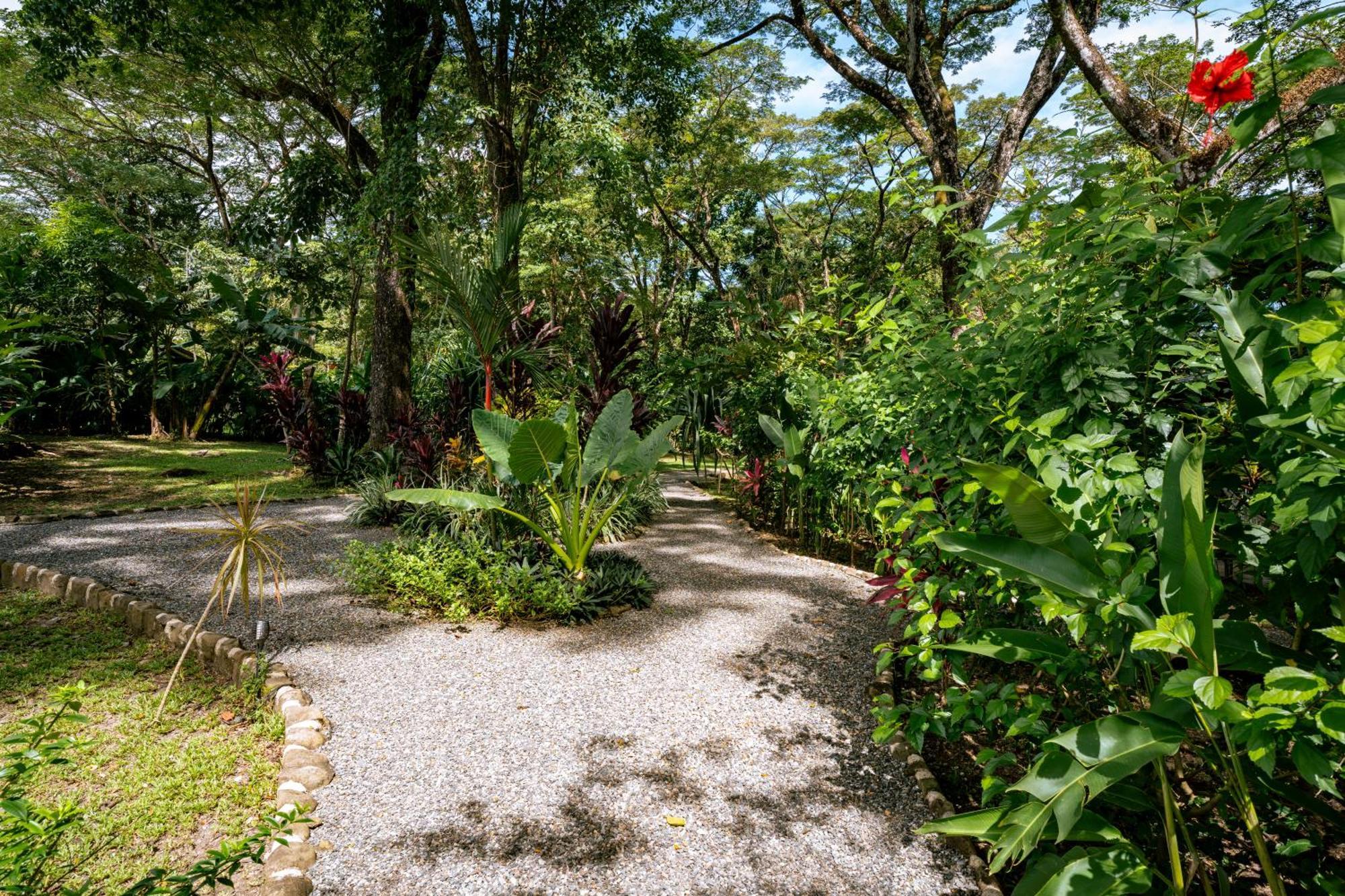 Feeling Trees Jungle Lodge Cabuya  Buitenkant foto