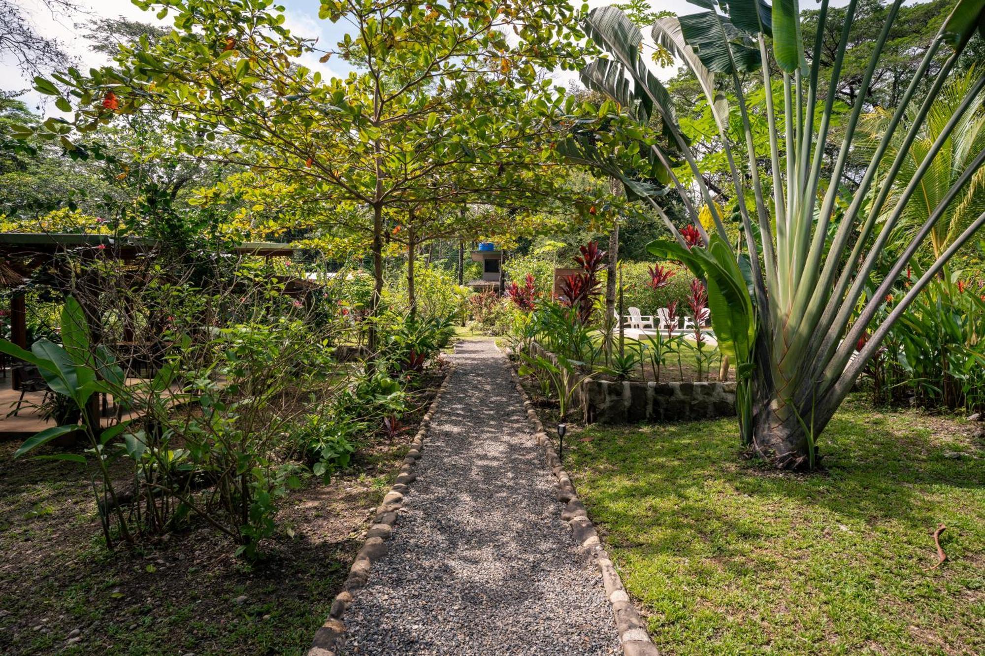 Feeling Trees Jungle Lodge Cabuya  Buitenkant foto