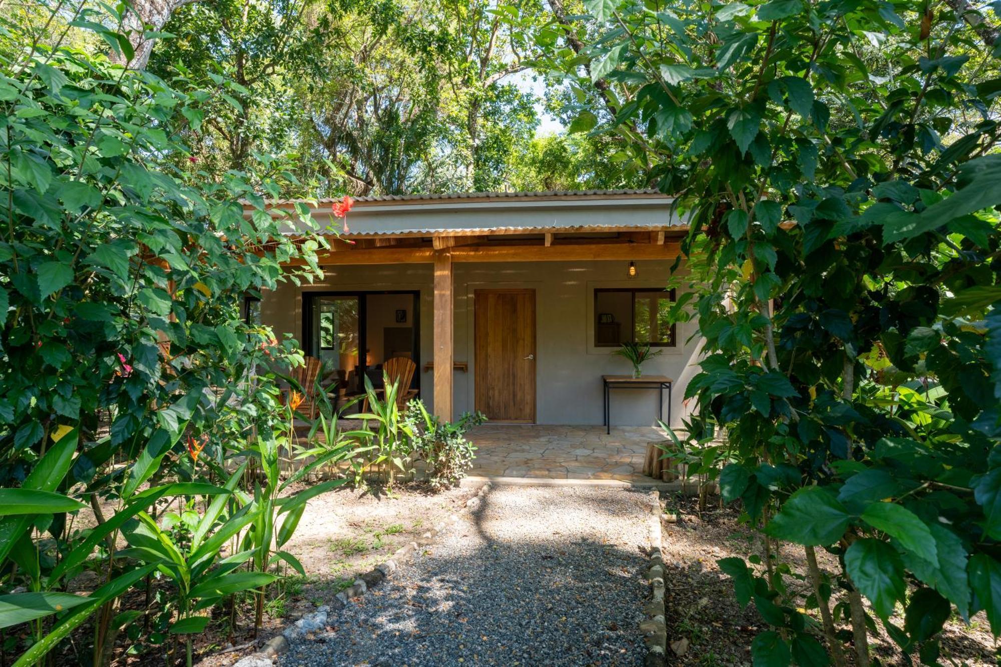 Feeling Trees Jungle Lodge Cabuya  Buitenkant foto