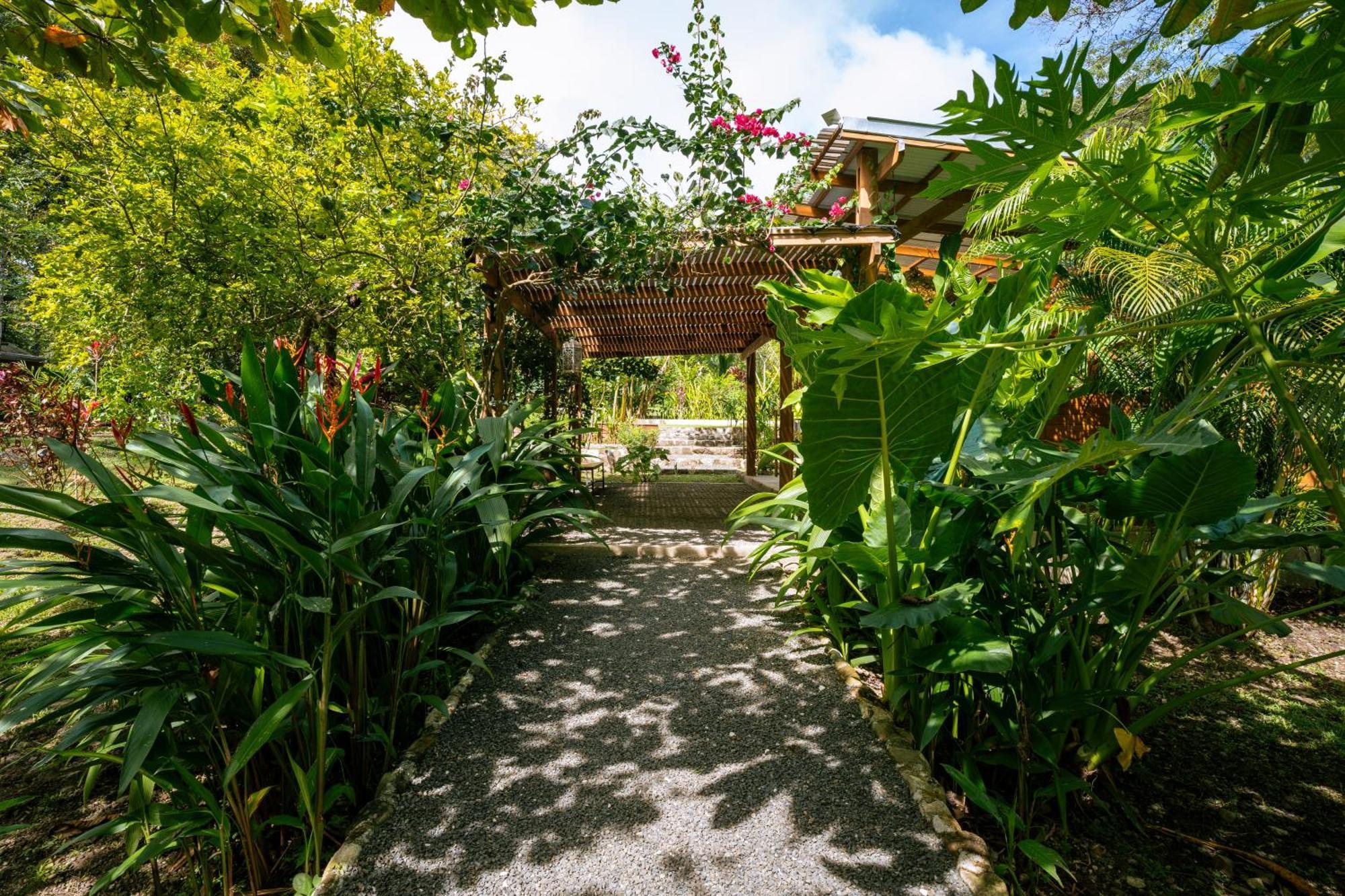 Feeling Trees Jungle Lodge Cabuya  Buitenkant foto