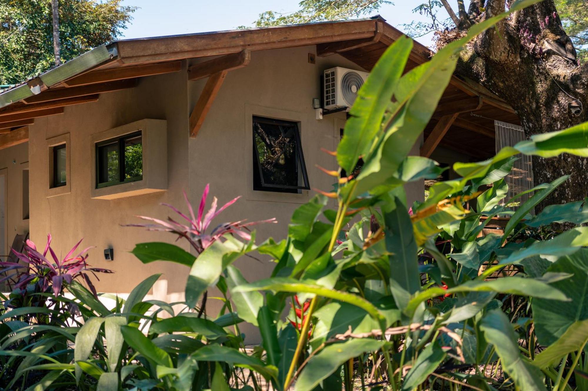 Feeling Trees Jungle Lodge Cabuya  Buitenkant foto