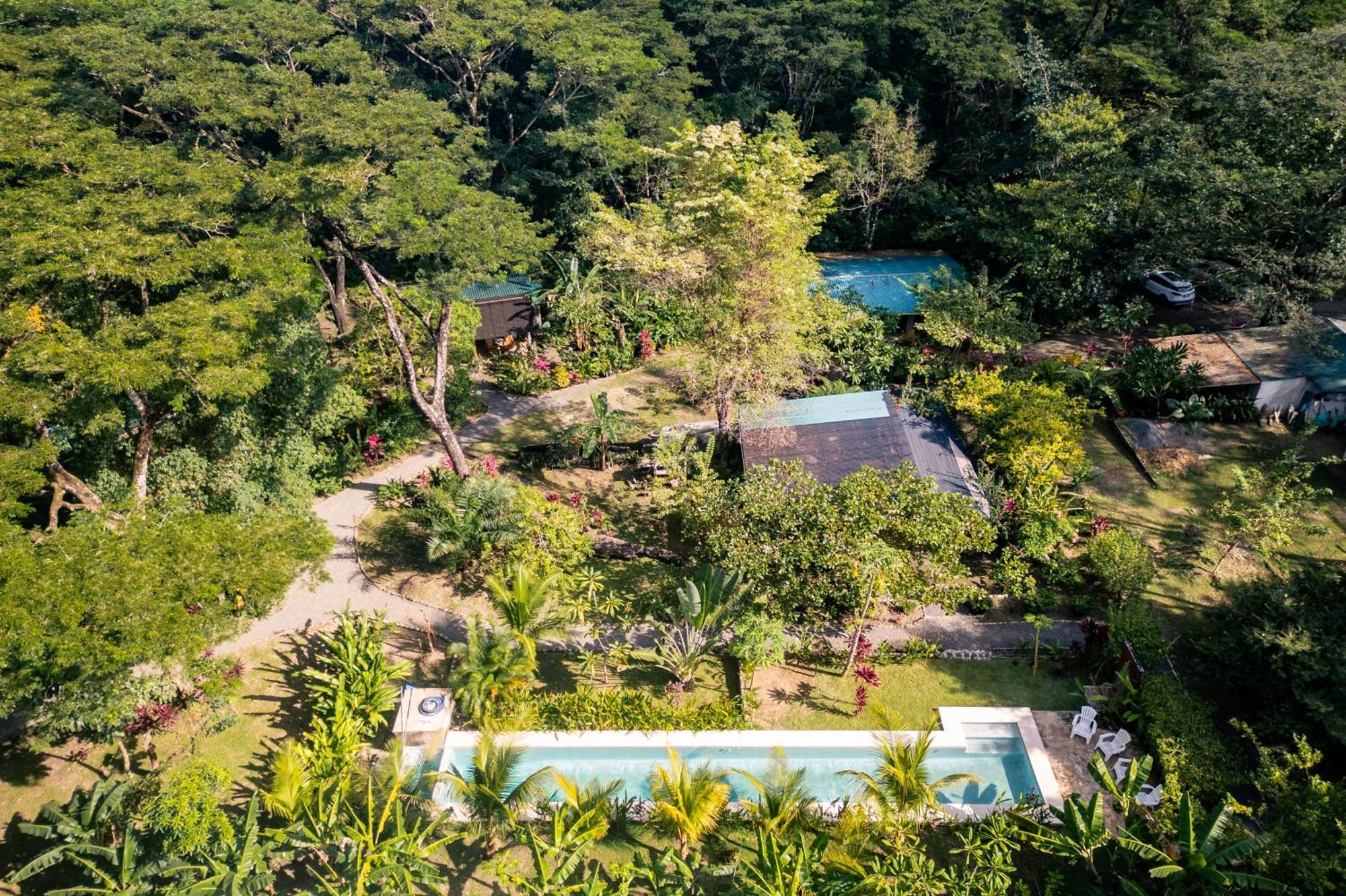 Feeling Trees Jungle Lodge Cabuya  Buitenkant foto