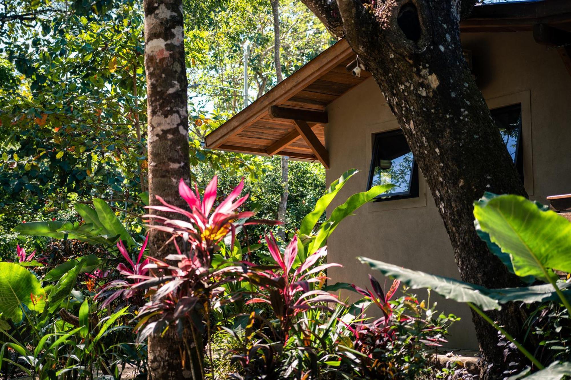 Feeling Trees Jungle Lodge Cabuya  Buitenkant foto